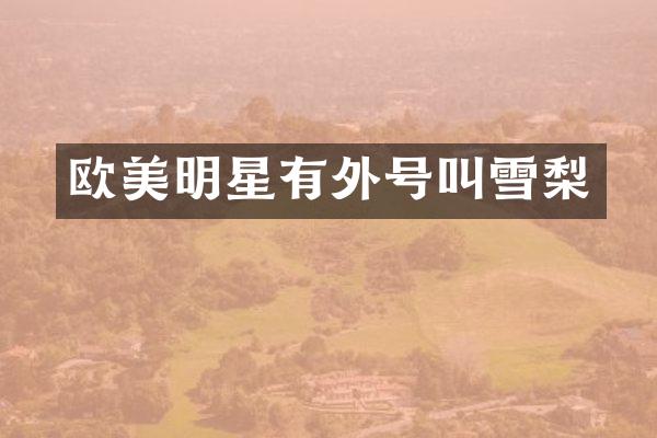 欧美明星有外号叫雪梨