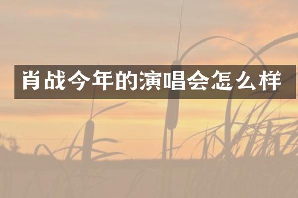 肖战今年的演唱会怎么样