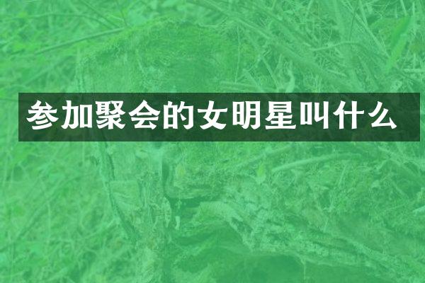 参加聚会的女明星叫什么