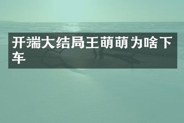 开端大结局王萌萌为啥下车