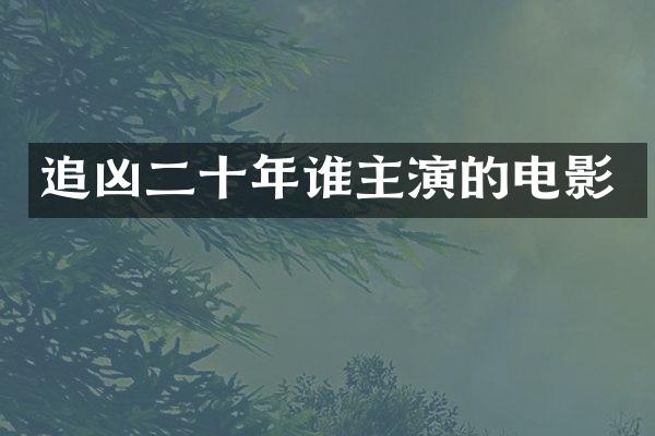 追凶二十年谁主演的电影