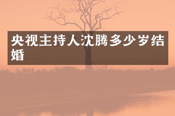 央视主持人沈腾结婚