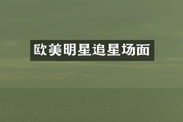 欧美明星追星场面