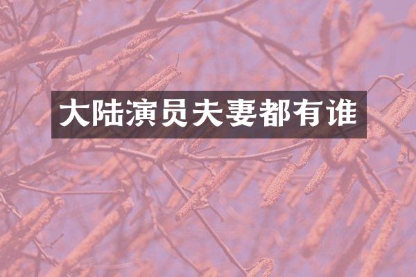 大陆演员夫妻都有谁