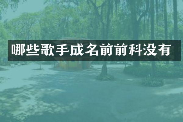 哪些歌手成名前前科没有