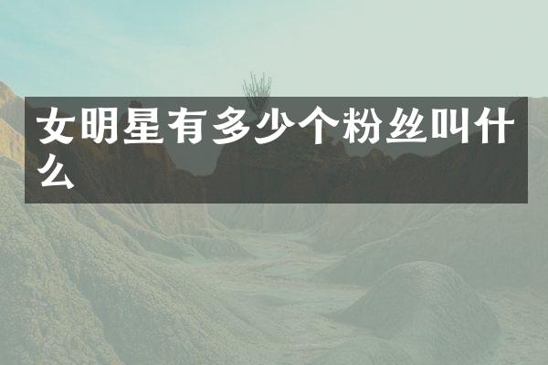 女明星有多少个粉丝叫什么