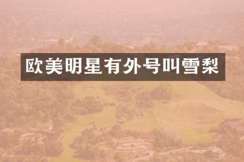 欧美明星有外号叫雪梨