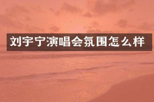 刘宇宁演唱会氛围怎么样