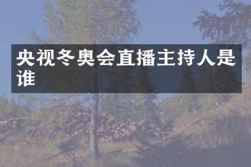 央视冬奥会直播主持人是谁