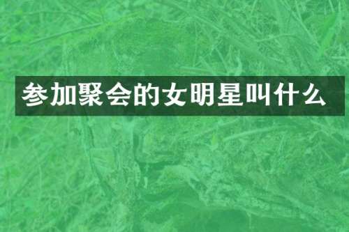 参加聚会的女明星叫什么