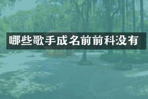 哪些歌手成名前前科没有