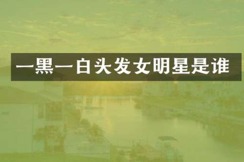 一黑一白头发女明星是谁