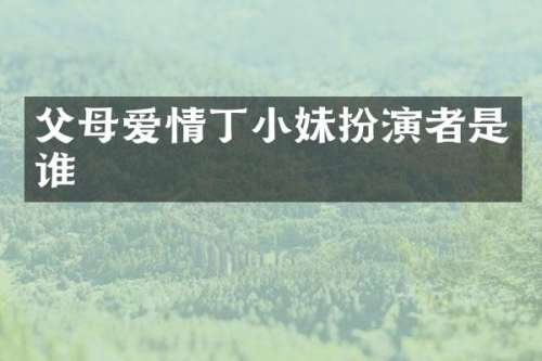 父母爱情丁小妹扮演者是谁