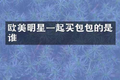 欧美明星一起买包包的是谁