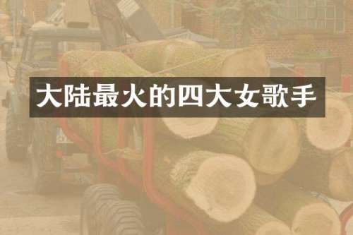 大陆最火的四大女歌手