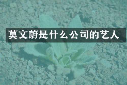 莫文蔚是什么公司的艺人