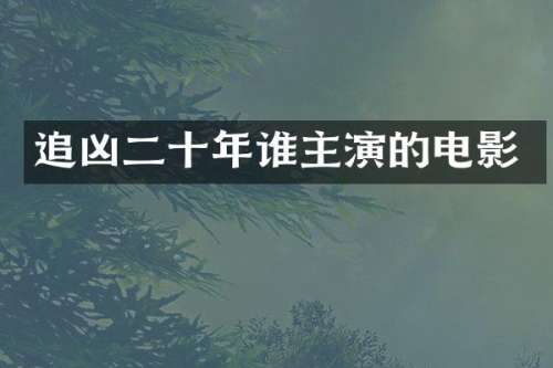 追凶二十年谁主演的电影
