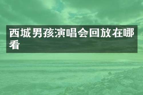 西城男孩演唱会回放在哪看