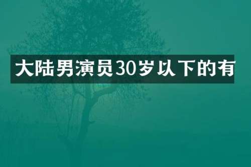 大陆男演员30岁以下的有