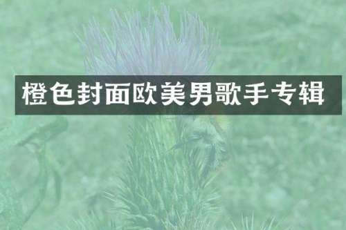 橙色封面欧美男歌手专辑