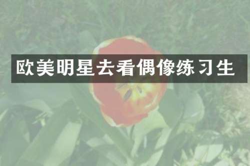 欧美明星去看偶像练习生