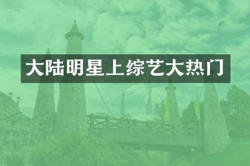 大陆明星上综艺大热门
