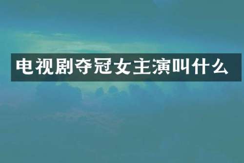 电视剧夺冠女主演叫什么