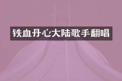 铁血丹心大陆歌手翻唱