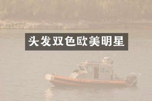 头发双色欧美明星