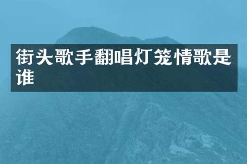 街头歌手翻唱灯笼情歌是谁
