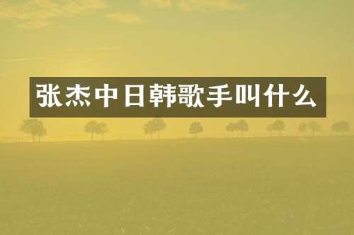 张杰中日韩歌手叫什么