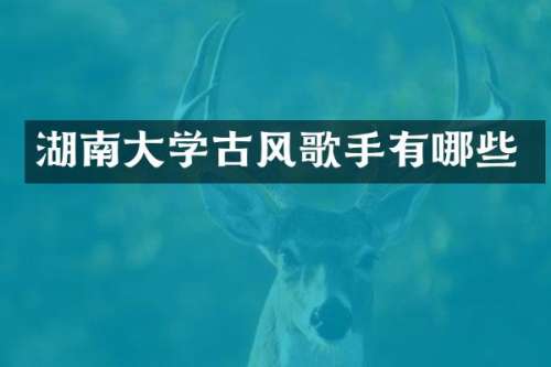 湖南大学古风歌手有哪些