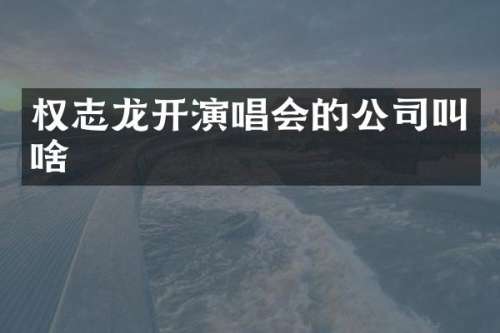 开演唱会的公司叫啥