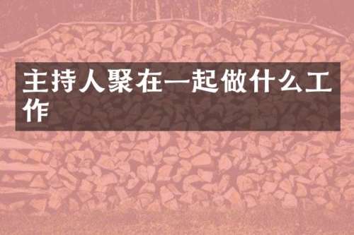 主持人聚在一起做什么工作