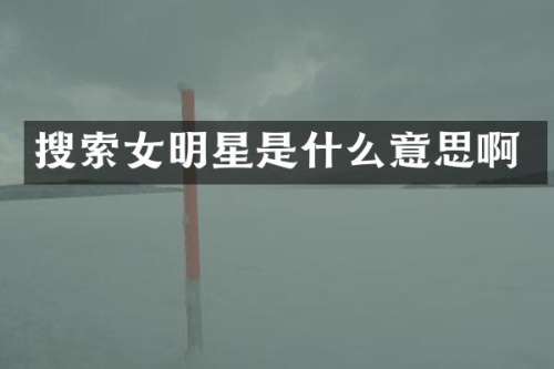 搜索女明星是什么意思啊