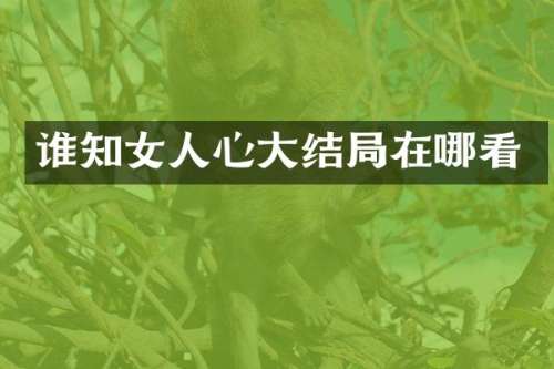 谁知女人心大结局在哪看