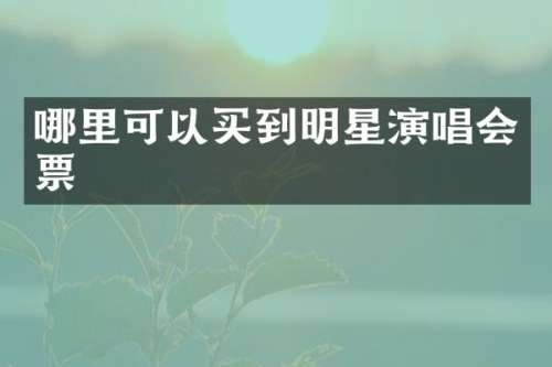 哪里可以买到明星演唱会票