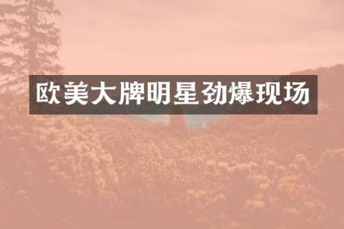 欧美大牌明星劲爆现场