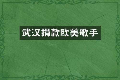 武汉捐款欧美歌手