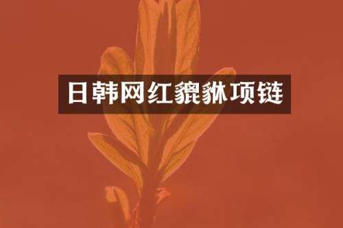 日韩网红貔貅项链