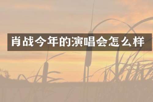 肖战今年的演唱会怎么样