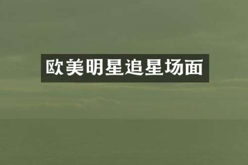 欧美明星追星场面