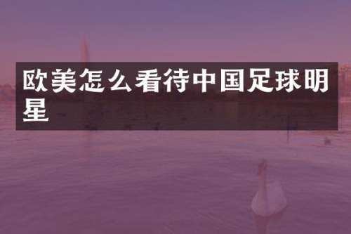欧美怎么看待中国足球明星