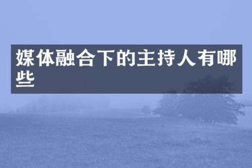 媒体融合下的主持人有哪些