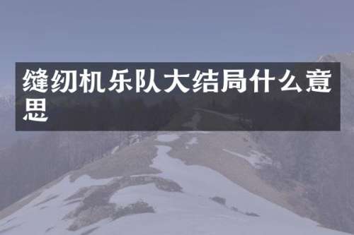 缝纫机乐队大结局什么意思