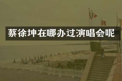 蔡徐坤在哪办过演唱会呢