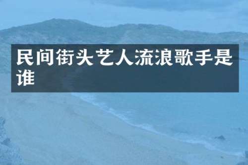民间街头艺人流浪歌手是谁
