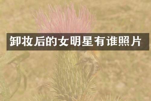 卸妆后的女明星有谁照片