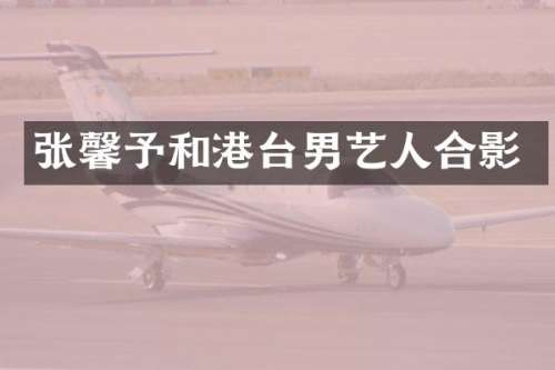 张馨予和港台男艺人合影