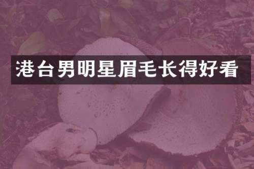 港台男明星眉毛长得好看